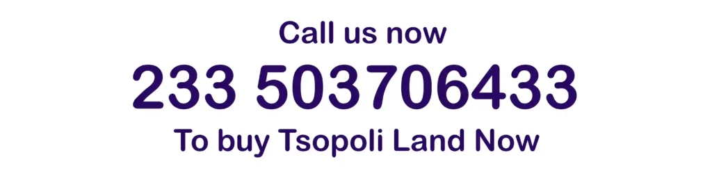 buy tsopoli land