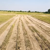 Gentle sloping land with good drainage near utilities