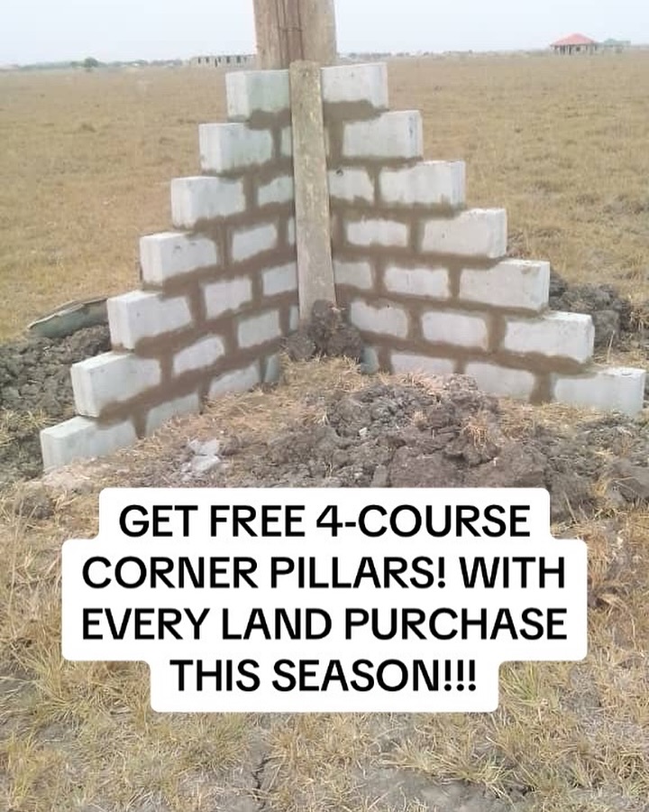 Demarcation pegs marking plot boundaries